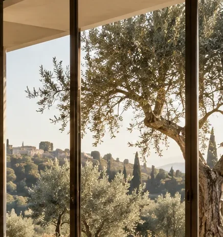 Concept della vista sugli ulivi dalle vetrate del soggiorno